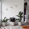 image:imageBambooMN Succulent Pots  3 WallMounted Planters  Tear Shape  White  33 DiameterWhite
