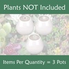 image:imageBambooMN Succulent Pots  3 WallMounted Planters  Tear Shape  White  33 DiameterWhite