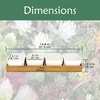 image:imageCeramic Succulent Flower Cactus Plant Pots  4 Pots  Square  with Bamboo Box  White  31White  4 Pots