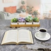 image:imageCeramic Succulent Flower Cactus Plant Pots  4 Pots  Square  with Bamboo Box  White  31White  4 Pots