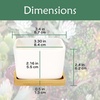 image:imageCeramic Succulent Planters Pots  3 Pots  Square  with Bamboo Trays  White  34White