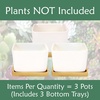 image:imageCeramic Succulent Planters Pots  3 Pots  Square  with Bamboo Trays  White  34White