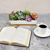 image:imageCeramic Succulent Pots  1 Pot  Long Rectangle  with Bamboo Tray  White  11White  Long Pot