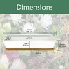 image:imageCeramic Succulent Pots  1 Pot  Long Rectangle  with Bamboo Tray  White  11White  Long Pot
