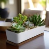 image:imageCeramic Succulent Pots  1 Pot  Long Rectangle  with Bamboo Tray  White  11White  Long Pot