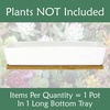 image:imageCeramic Succulent Pots  1 Pot  Long Rectangle  with Bamboo Tray  White  11White  Long Pot