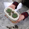 image:imageCeramic Succulent Pots  1 Pot  Short Oval Shaped  with Bamboo Tray  White  6311