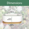 image:imageCeramic Succulent Pots  1 Pot  Short Oval Shaped  with Bamboo Tray  White  6311
