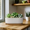 image:imageCeramic Succulent Pots  1 Pot  Short Oval Shaped  with Bamboo Tray  White  6311