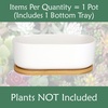 image:imageCeramic Succulent Pots  1 Pot  Short Oval Shaped  with Bamboo Tray  White  6311