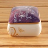image:imageFairysiteDragonsite Munro Reach for The Stars  EAD389  Wish Memory Jewelry Box