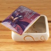 image:imageFairysiteDragonsite Munro Reach for The Stars  EAD389  Wish Memory Jewelry Box