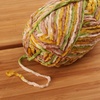image:imageJubileeYarn Chenille Yarn  100gSkein Worsted Polyester  Shades of Brown  4 Skeins213 Summerland