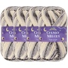 image:imageJubileeYarn Chunky Melody Yarn  100gSkein Bulky Wool Blend  Sea Mist  2 Skeins01 Jump Rope