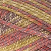 image:imageJubileeYarn Chunky Melody Yarn  100gSkein Bulky Wool Blend  Sea Mist  2 Skeins04 Splitpea Carrot
