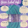 image:imageJubileeYarn Chunky Melody Yarn  100gSkein Bulky Wool Blend  Sea Mist  2 Skeins04 Splitpea Carrot
