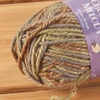 image:imageJubileeYarn Chunky Melody Yarn  100gSkein Bulky Wool Blend  Sea Mist  2 Skeins06 Lodge Forest