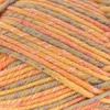 image:imageJubileeYarn Chunky Melody Yarn  100gSkein Bulky Wool Blend  Sea Mist  2 Skeins15 Orange Maize