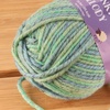 image:imageJubileeYarn Chunky Melody Yarn  100gSkein Bulky Wool Blend  Sea Mist  2 Skeins17 Atlantis