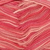 image:imageJubileeYarn Cotton Select Yarn  50gSkein Sport Weight  Blueberry Pie  4 Skeins019 Rose Parade
