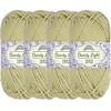 image:imageJubileeYarn Dainty Light Yarn  100gSkein Worsted Cotton  Moon Beam  4 Skeins006 Celedon Green