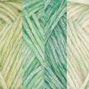 image:imageJubileeYarn Divine Treasures Yarn  50gSkein Fine Cotton Acrylic Blend  Crystal Skull  2 SkeinsShades of Green