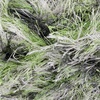 image:imageJubileeYarn Feather Whimsy Eyelash Yarn  50gSkein Fine Polyester Fur  Peacock  6 Skeins34 Night Crawler
