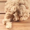 image:imageJubileeYarn Fun Finger Faux Fur Loops Yarn  200gSkein Jumbo Polyester  Heron  2 Skeins11 Sand