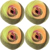 image:imageJubileeYarn Galaxy Fantasy Yarn  100gSkein Ombre Baby Weight  Party Punch  2 Balls111 Mellow Marigold