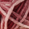 image:imageJubileeYarn Halo Fables Yarn  100gSkein Bulky Polyester  North Wind Sun  2 Skeins07 Cherry