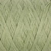 image:imageJubileeYarn Paper Notes Yarn  180gCone Worsted Paper  Variety Pack  4 Cones24 ganggreen Gang Green