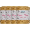 image:imageJubileeYarn Paper Notes Yarn  180gCone Worsted Paper  Variety Pack  4 Cones42 cinnabunzz Cinna Buns
