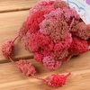 image:imageJubileeYarn Pom Bomb Yarn  100gSkein Super Bulky Polyester  Circus Berzerk  2 Skeins08 Firepower