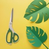 image:imageJubileeYarn Professional Stainless Steel Tailer Fabric Scissors  10 Silver  1 PairJapanese Style  9 Green
