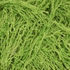 image:imageJubileeYarn Scrubby Dish Yarn  50gSkein Dishcloth Polyester  Lime Green  4 Skeins103 Lime Green