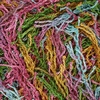 image:imageJubileeYarn Scrubby Dish Yarn  50gSkein Dishcloth Polyester  Lime Green  4 Skeins33 Rainbow