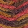 image:imageJubileeYarn Simply Chunky Yarn  Bulky Acrylic  Lava  2 Skeins16 Wounded By An Arrow