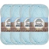 image:imageJubileeYarn Simply Sweet Yarn  100gSkein DK Cotton Blend  Plum Raisin  2 Skeins107 Arctic Blue