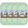image:imageJubileeYarn Simply Sweet Yarn  100gSkein DK Cotton Blend  Plum Raisin  2 Skeins503 Green Mint