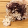 image:imageJubileeYarn Warm Fuzzies Soft Faux Fur Yarn  Polyester Bulky Weight  100gSkein  Dark Red  1 Skein14 Caramel