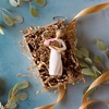 image:imageWillow Tree Heart of Gold MetalEdged Ornament Sculpted HandPainted Bas Relief  Sentimental Keepsake Gift for Loved Ones Cast from a Susan Lordi Original Carving Cast Resin Ready to HangBright Hope