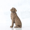 image:imageWillow Tree Love My Dog Small Lying Down Always with me Full of Personality Gift for Dog Owners of Miniature Breeds New Pet Adoption or Bereavement Sculpted HandPainted Figure  Cast from a Susan Lordi Original Carving Gift for Dog Lovers Celebrates the Loving Bond Between People and Their DogsLove My Dog Small