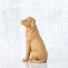 image:imageWillow Tree Love My Dog Small Lying Down Always with me Full of Personality Gift for Dog Owners of Miniature Breeds New Pet Adoption or Bereavement Sculpted HandPainted Figure  Cast from a Susan Lordi Original Carving Gift for Dog Lovers Celebrates the Loving Bond Between People and Their DogsAdorable You Golden Dog