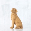 image:imageWillow Tree Love My Dog Small Lying Down Always with me Full of Personality Gift for Dog Owners of Miniature Breeds New Pet Adoption or Bereavement Sculpted HandPainted Figure  Cast from a Susan Lordi Original Carving Gift for Dog Lovers Celebrates the Loving Bond Between People and Their DogsAdorable You Golden Dog