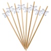 image:imageBambooMN 39 Decorative Acrylic Butterfly Bamboo Cocktail Fruit Sandwich Picks Skewers for Catered Events Holiday Restaurants or Buffets Party Supplies 300 PiecesClear