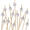 image:imageBambooMN 59 Decorative Acrylic Orange Gem End Bamboo Cocktail Fruit Sandwich Picks Skewers for Catered Events Holidays Restaurants or Buffets Party Supplies 300 PcsClear