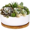 image:imageBambooMN Ceramic Succulent Planter Pots  1 Pot  Round Bowl  with Bamboo Tray  White  649White Pot  Bamboo Tray