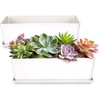 image:imageBambooMN Ceramic Succulent Pots  1 Pot  Short Rectangle  with Ceramic Tray  White  101White  Short Pot