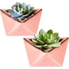 image:imageBambooMN Succulent Ceramic Pots  2 Pots  Gem Shape  Copper Color  482 Copper Gem Pots