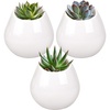 image:imageBambooMN Succulent Pots  3 WallMounted Planters  Tear Shape  White  33 DiameterWhite